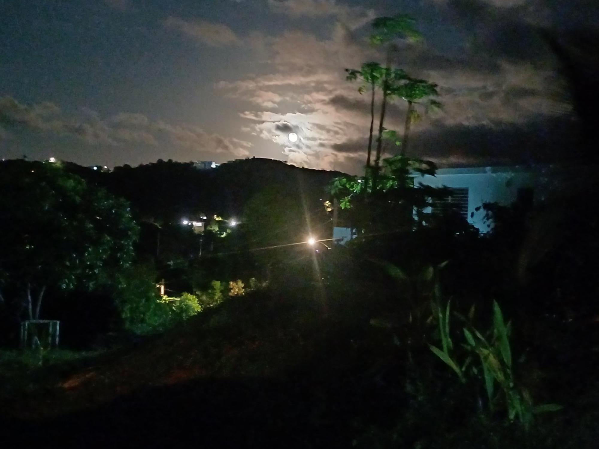 Rooster Run Glamping Camping Has Rooftop And Off The Ground Glamping Experience For 1 To 16 In A Single Tent And Views Of The Rain Forrest And To Culebra Across The Atlantic Ocean W Tents, Linens, Deluxe Air Beds, Warm Shower And More At A Great Pric Vieques Zewnętrze zdjęcie