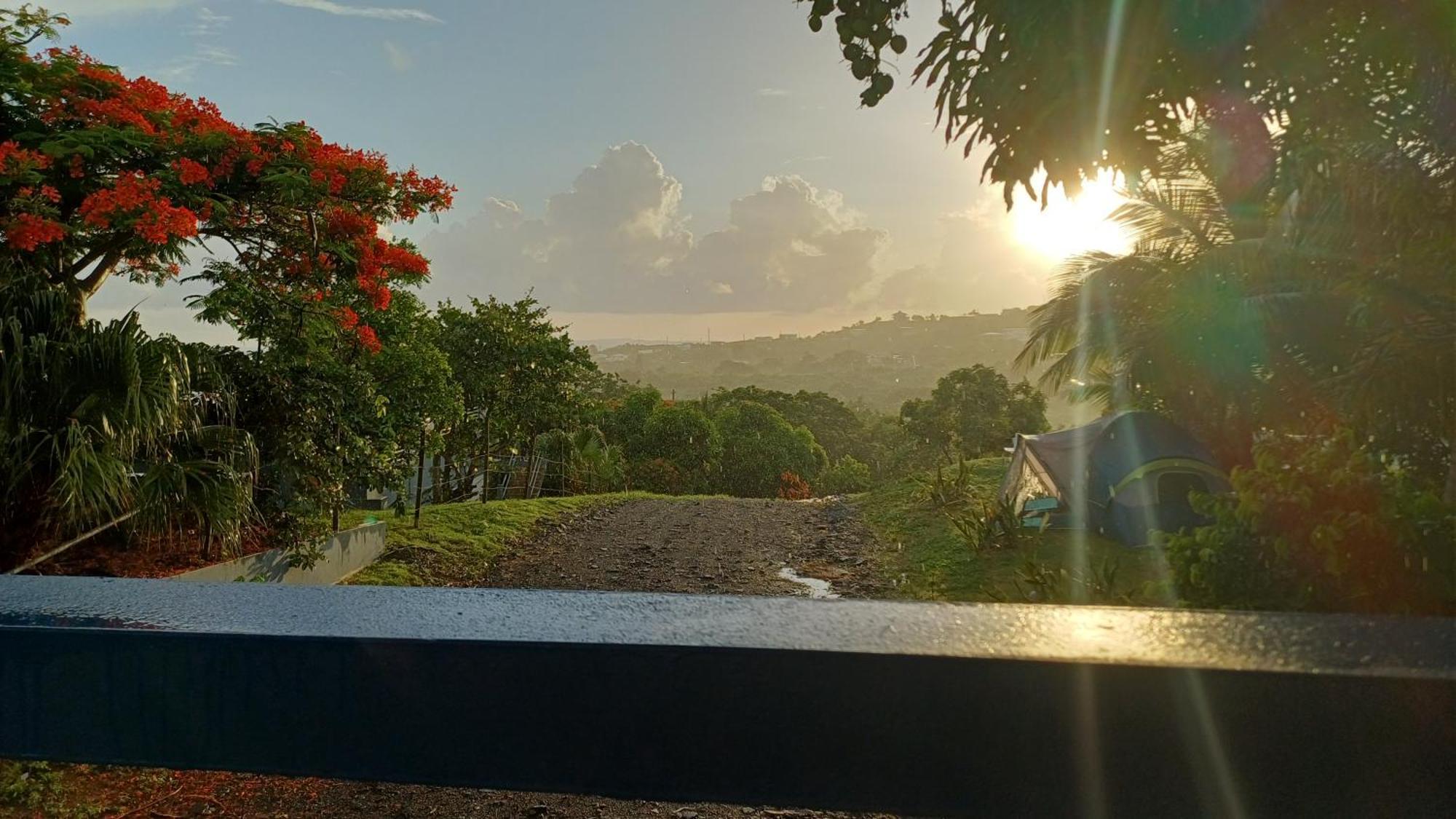 Rooster Run Glamping Camping Has Rooftop And Off The Ground Glamping Experience For 1 To 16 In A Single Tent And Views Of The Rain Forrest And To Culebra Across The Atlantic Ocean W Tents, Linens, Deluxe Air Beds, Warm Shower And More At A Great Pric Vieques Zewnętrze zdjęcie