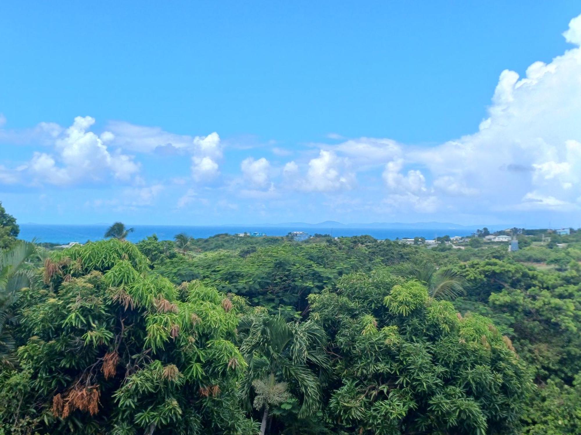 Rooster Run Glamping Camping Has Rooftop And Off The Ground Glamping Experience For 1 To 16 In A Single Tent And Views Of The Rain Forrest And To Culebra Across The Atlantic Ocean W Tents, Linens, Deluxe Air Beds, Warm Shower And More At A Great Pric Vieques Zewnętrze zdjęcie