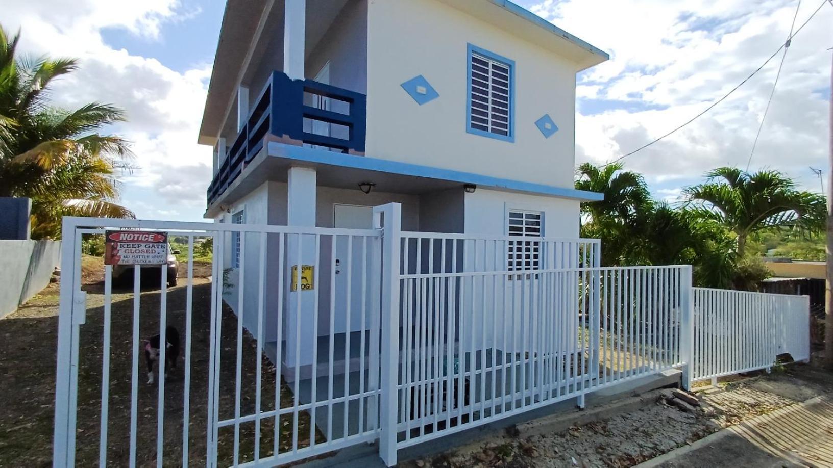 Rooster Run Glamping Camping Has Rooftop And Off The Ground Glamping Experience For 1 To 16 In A Single Tent And Views Of The Rain Forrest And To Culebra Across The Atlantic Ocean W Tents, Linens, Deluxe Air Beds, Warm Shower And More At A Great Pric Vieques Zewnętrze zdjęcie