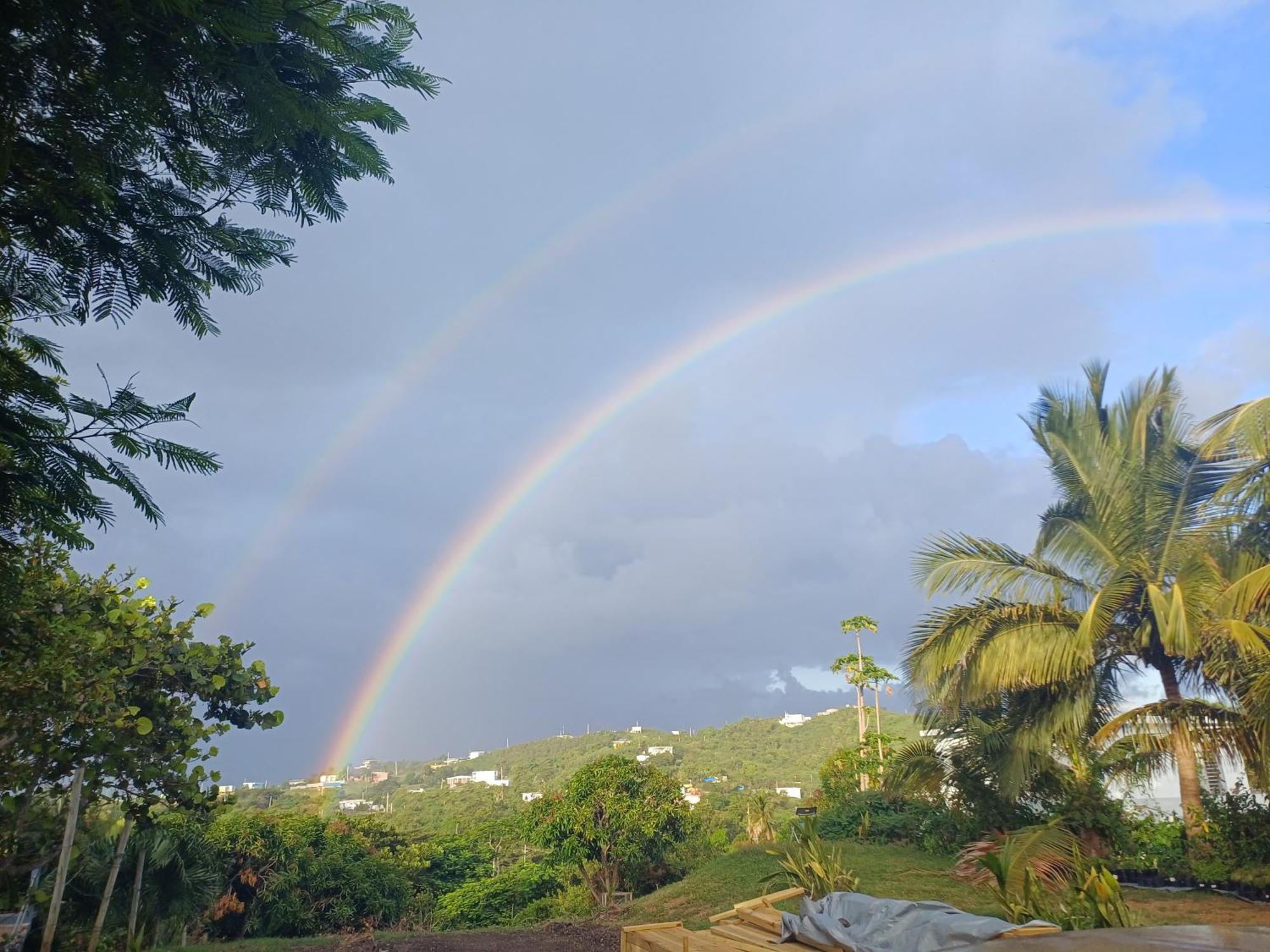 Rooster Run Glamping Camping Has Rooftop And Off The Ground Glamping Experience For 1 To 16 In A Single Tent And Views Of The Rain Forrest And To Culebra Across The Atlantic Ocean W Tents, Linens, Deluxe Air Beds, Warm Shower And More At A Great Pric Vieques Zewnętrze zdjęcie