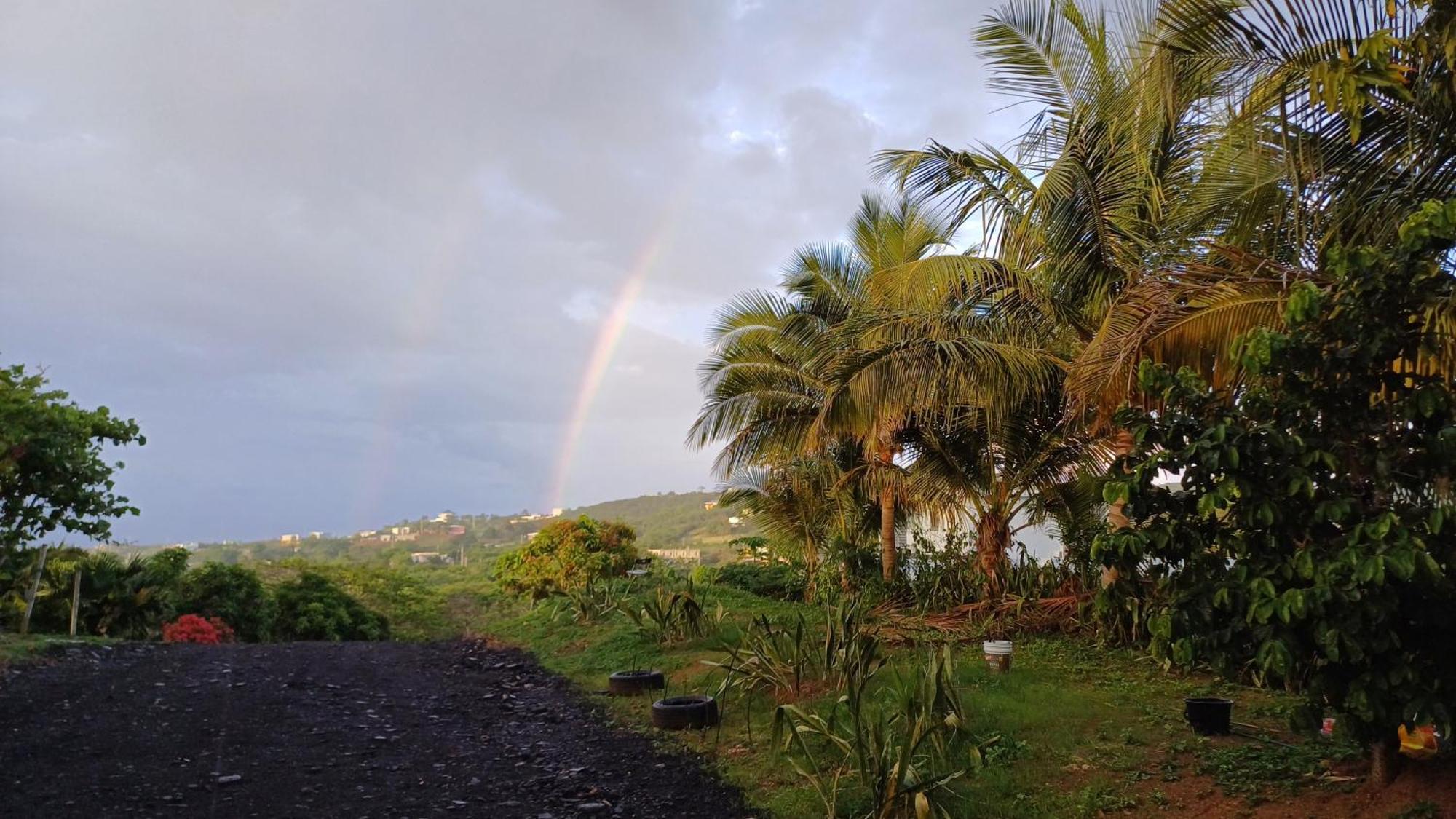 Rooster Run Glamping Camping Has Rooftop And Off The Ground Glamping Experience For 1 To 16 In A Single Tent And Views Of The Rain Forrest And To Culebra Across The Atlantic Ocean W Tents, Linens, Deluxe Air Beds, Warm Shower And More At A Great Pric Vieques Zewnętrze zdjęcie