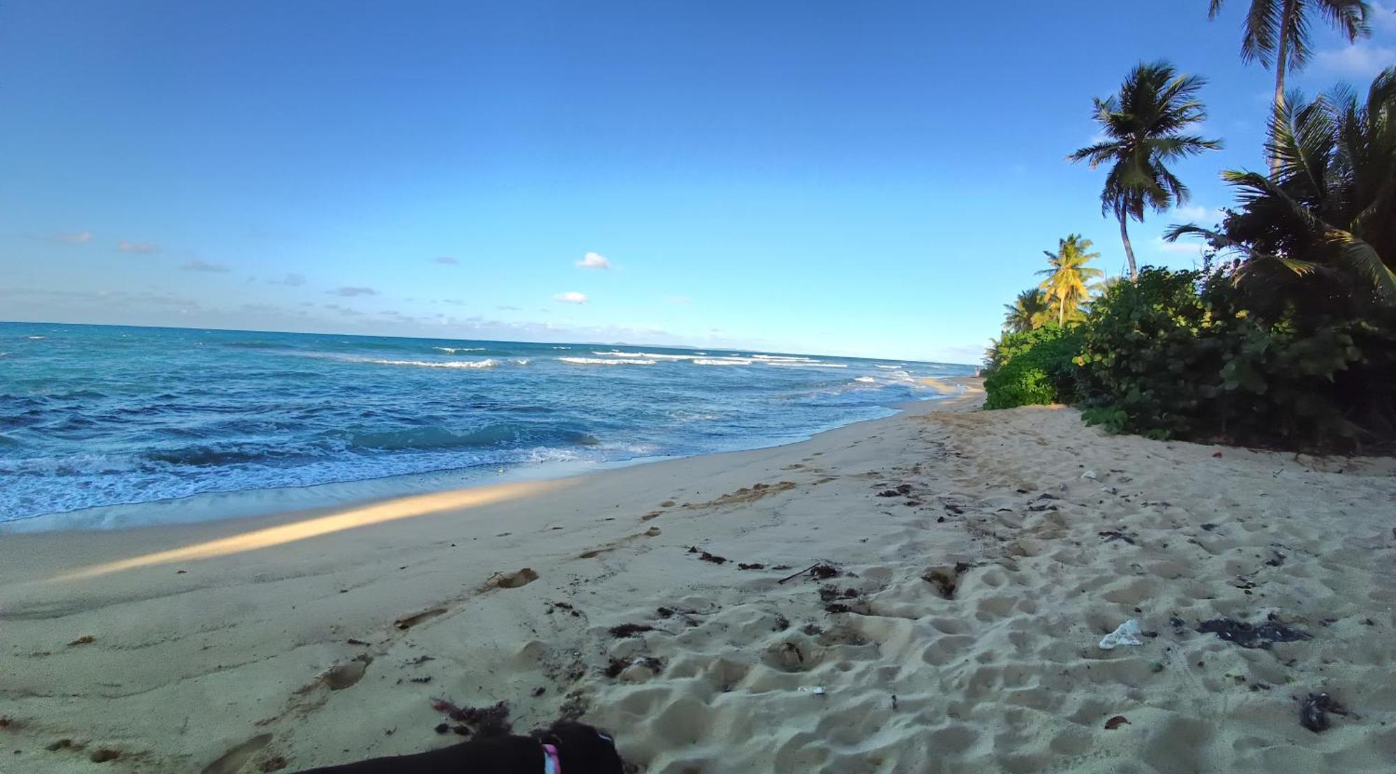 Rooster Run Glamping Camping Has Rooftop And Off The Ground Glamping Experience For 1 To 16 In A Single Tent And Views Of The Rain Forrest And To Culebra Across The Atlantic Ocean W Tents, Linens, Deluxe Air Beds, Warm Shower And More At A Great Pric Vieques Zewnętrze zdjęcie