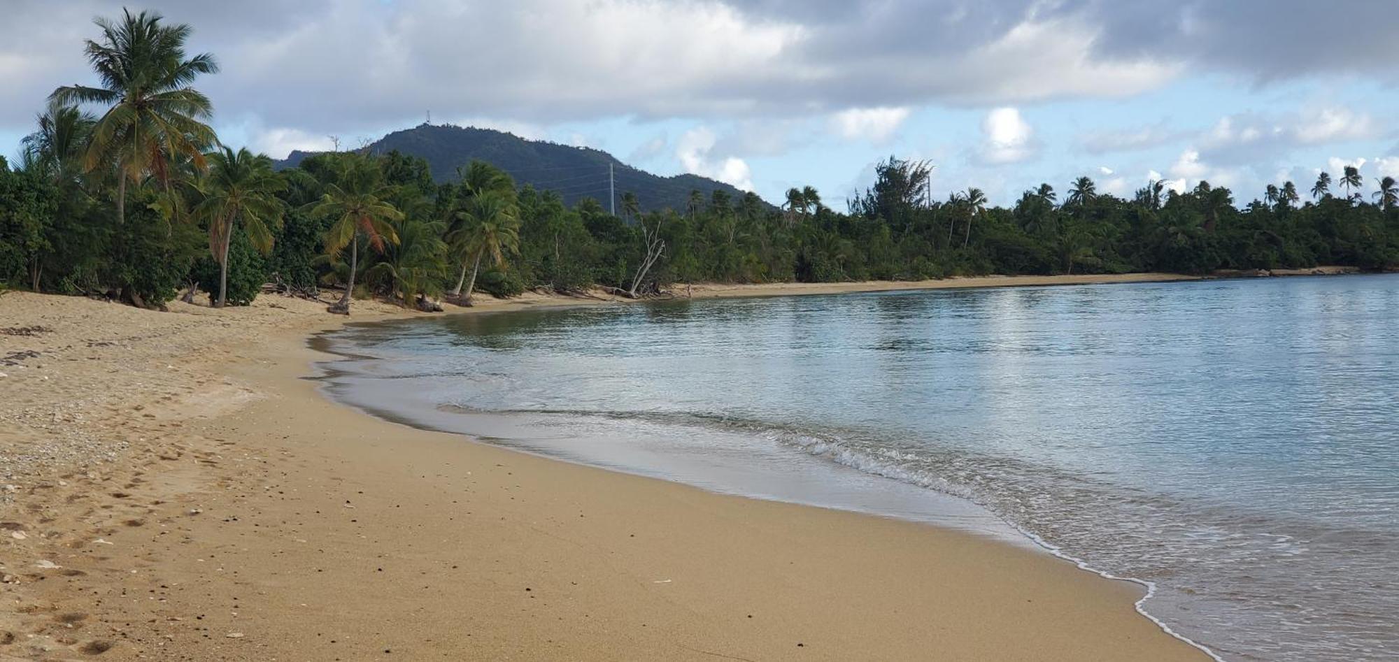 Rooster Run Glamping Camping Has Rooftop And Off The Ground Glamping Experience For 1 To 16 In A Single Tent And Views Of The Rain Forrest And To Culebra Across The Atlantic Ocean W Tents, Linens, Deluxe Air Beds, Warm Shower And More At A Great Pric Vieques Zewnętrze zdjęcie