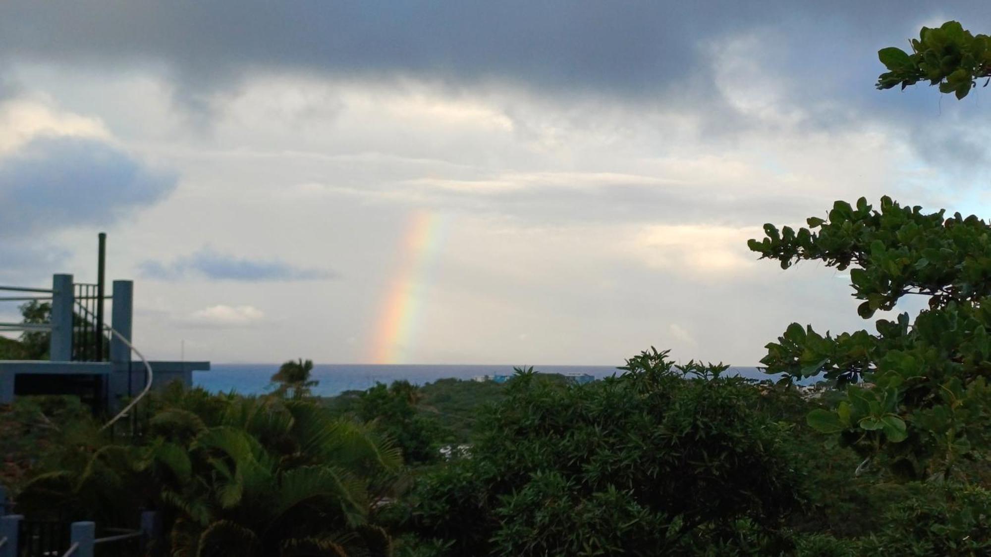 Rooster Run Glamping Camping Has Rooftop And Off The Ground Glamping Experience For 1 To 16 In A Single Tent And Views Of The Rain Forrest And To Culebra Across The Atlantic Ocean W Tents, Linens, Deluxe Air Beds, Warm Shower And More At A Great Pric Vieques Zewnętrze zdjęcie
