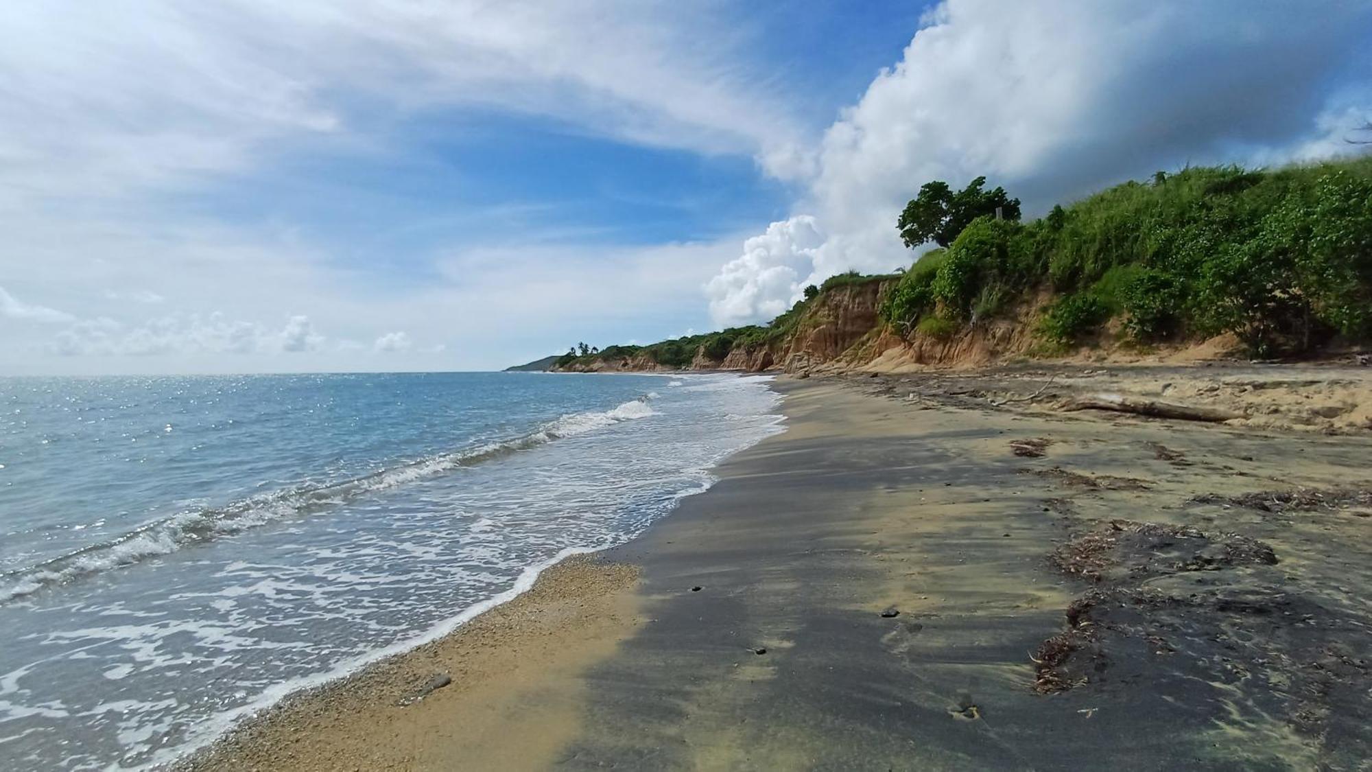 Rooster Run Glamping Camping Has Rooftop And Off The Ground Glamping Experience For 1 To 16 In A Single Tent And Views Of The Rain Forrest And To Culebra Across The Atlantic Ocean W Tents, Linens, Deluxe Air Beds, Warm Shower And More At A Great Pric Vieques Zewnętrze zdjęcie