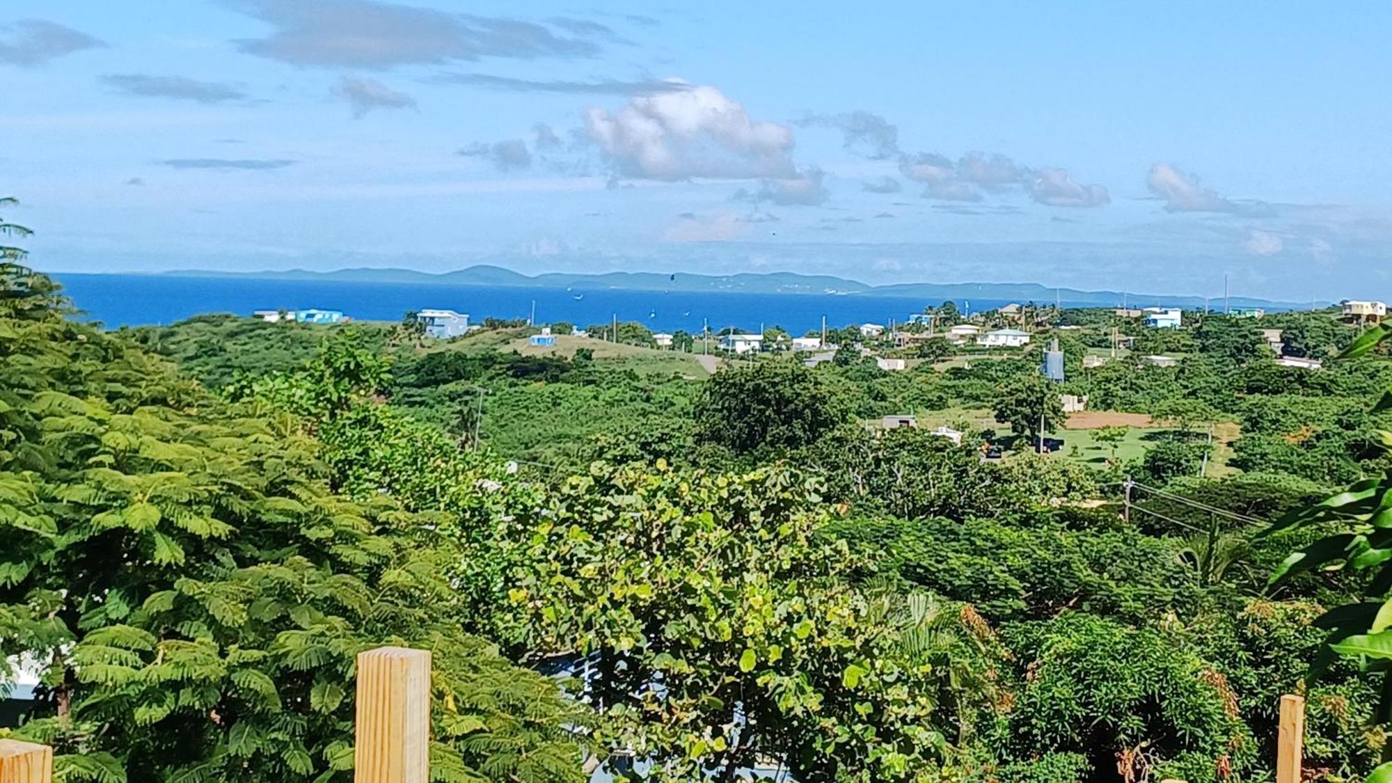 Rooster Run Glamping Camping Has Rooftop And Off The Ground Glamping Experience For 1 To 16 In A Single Tent And Views Of The Rain Forrest And To Culebra Across The Atlantic Ocean W Tents, Linens, Deluxe Air Beds, Warm Shower And More At A Great Pric Vieques Zewnętrze zdjęcie